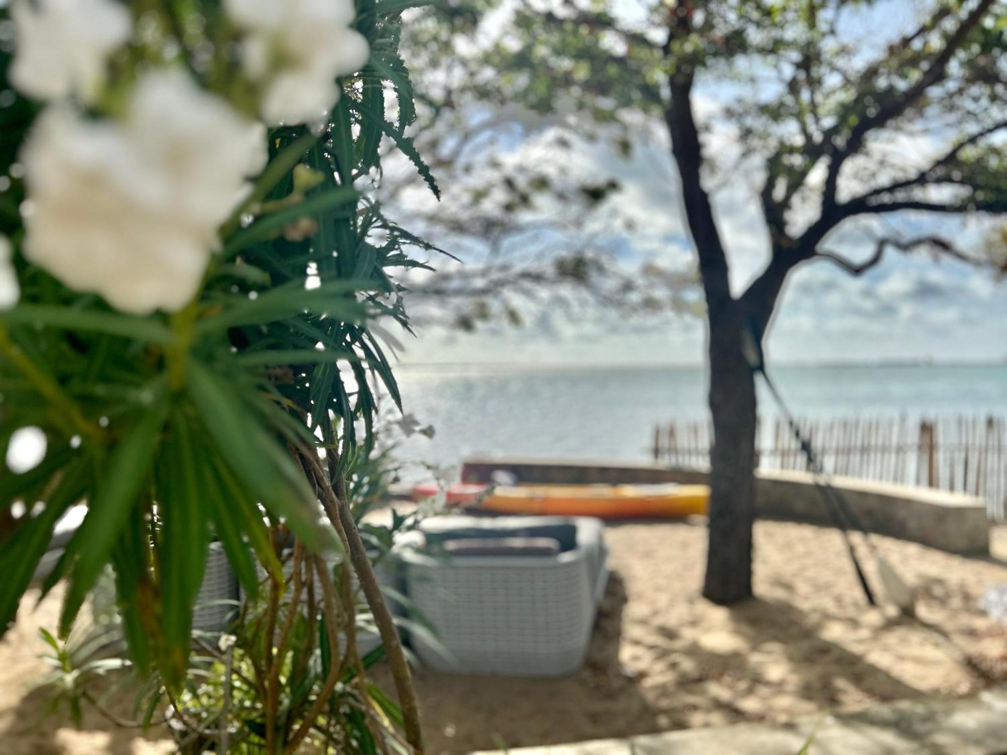 Arasi Resort Kalpitiya Dış mekan fotoğraf