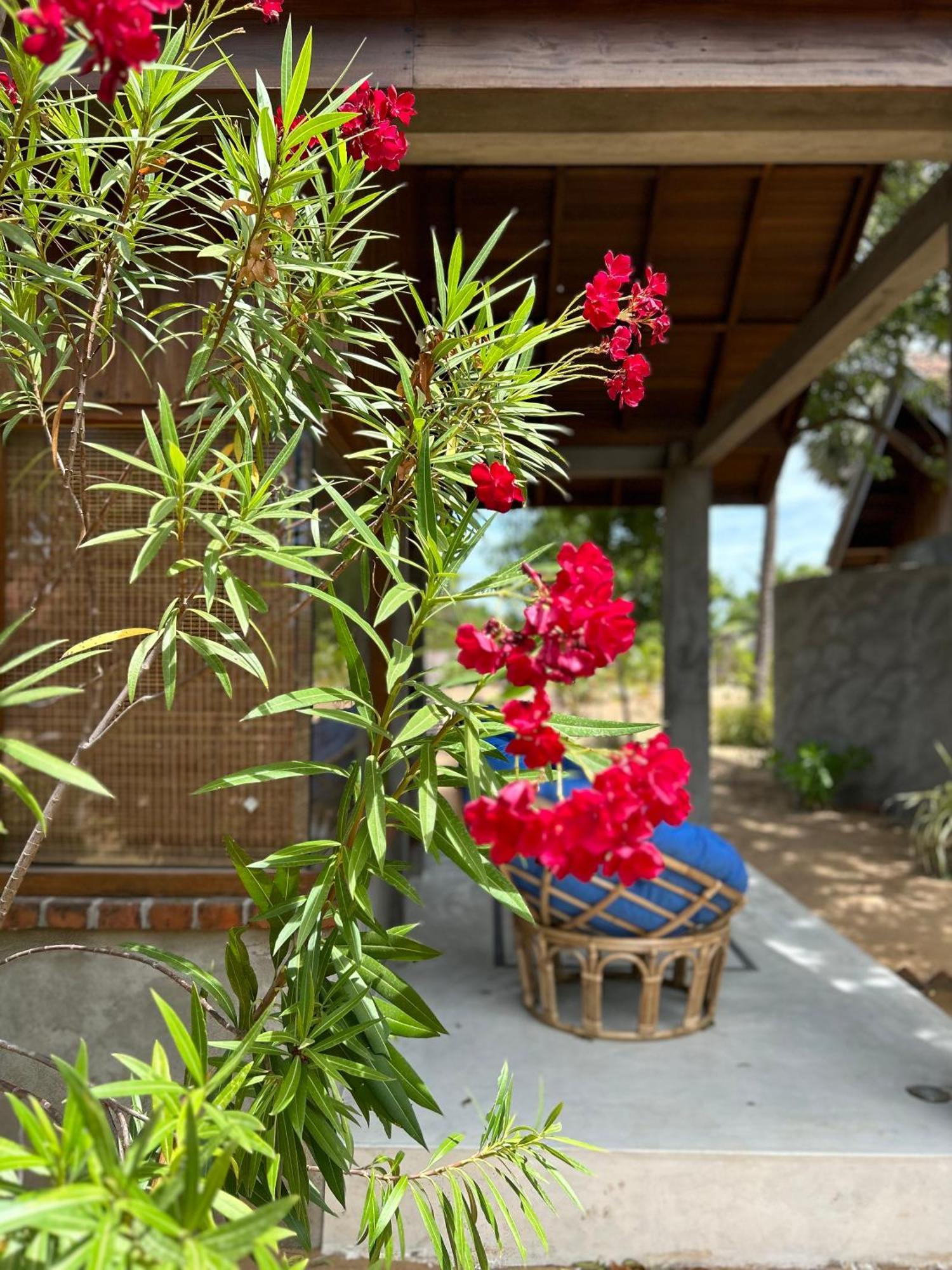 Arasi Resort Kalpitiya Dış mekan fotoğraf